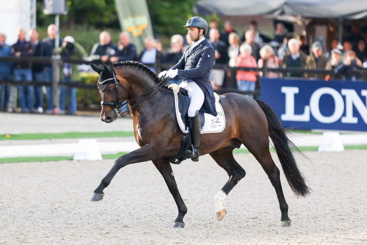 Escamillo auf dem Weg zu Bronze bei der WM der jungen Dressurpferde 2021. Foto: PM/LL-Foto