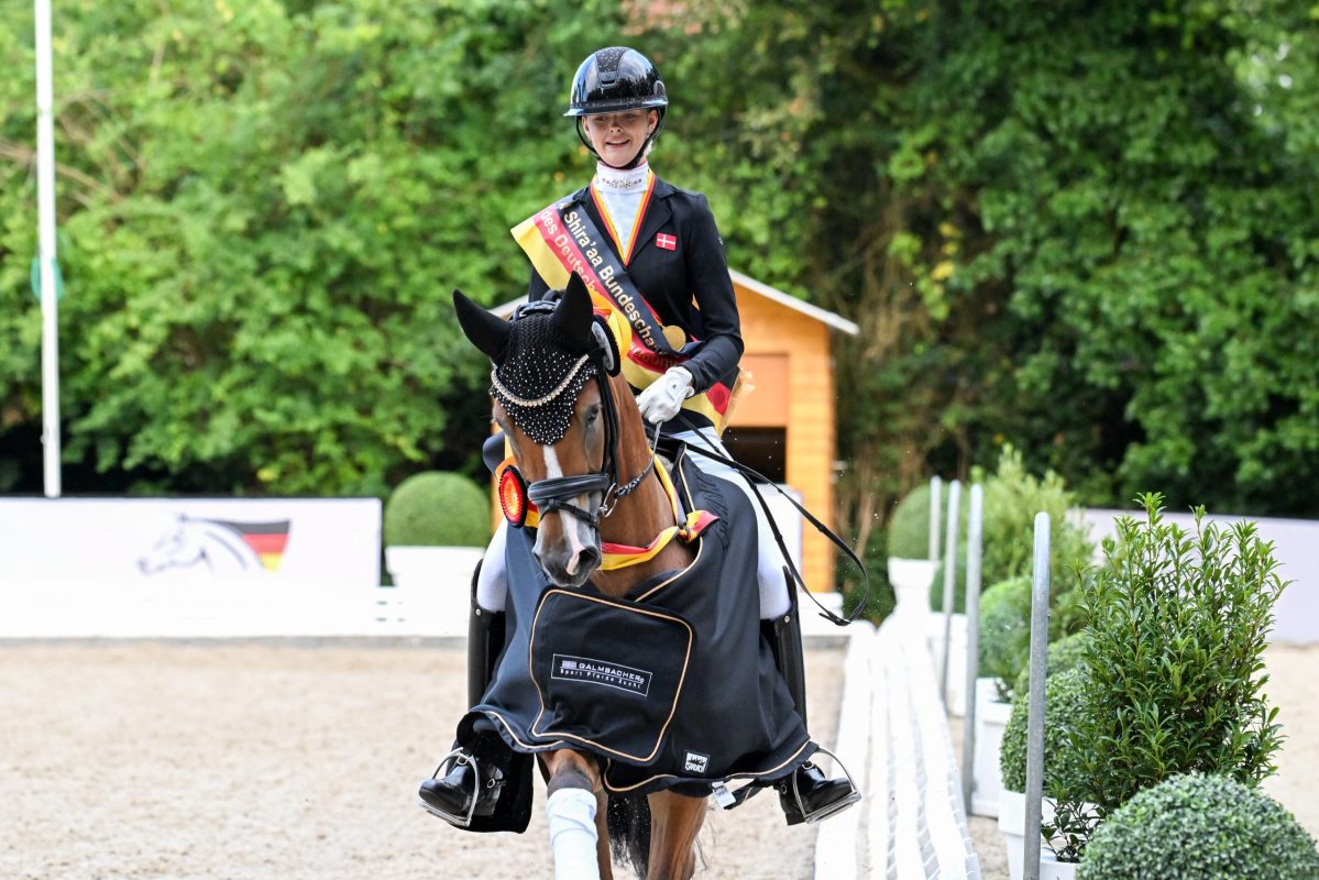 Darboven K WE ist neuer Bundeschampion der sechsjährigen Ponys, im Sattel sitzt Filippa Jaeger Jensen. (Foto: Nilkens)