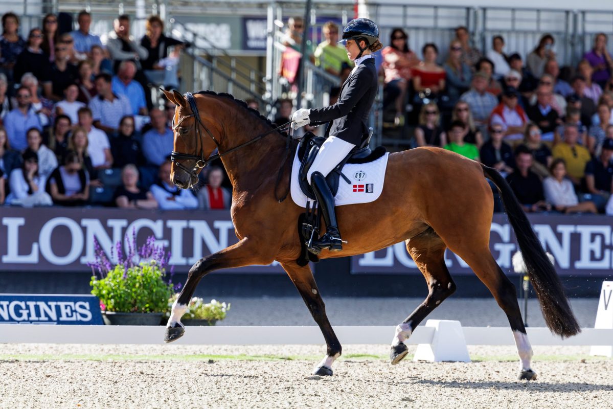 Valerie B mit Anne-Mette Strandby Hansen bei der WM der jungen Dressurpferde 2024. Foto: sportfotos-lafrentz.de