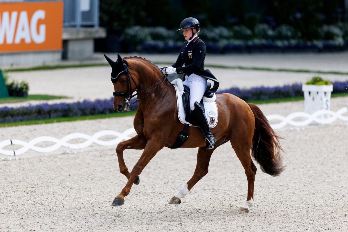 Katharina Hemmer und Denoix sehen ihrem ersten Championatseinsatz für Deutschland entgegen. Die Daumen sind gedrückt! Foto: Sportfotos-lafrentz.de