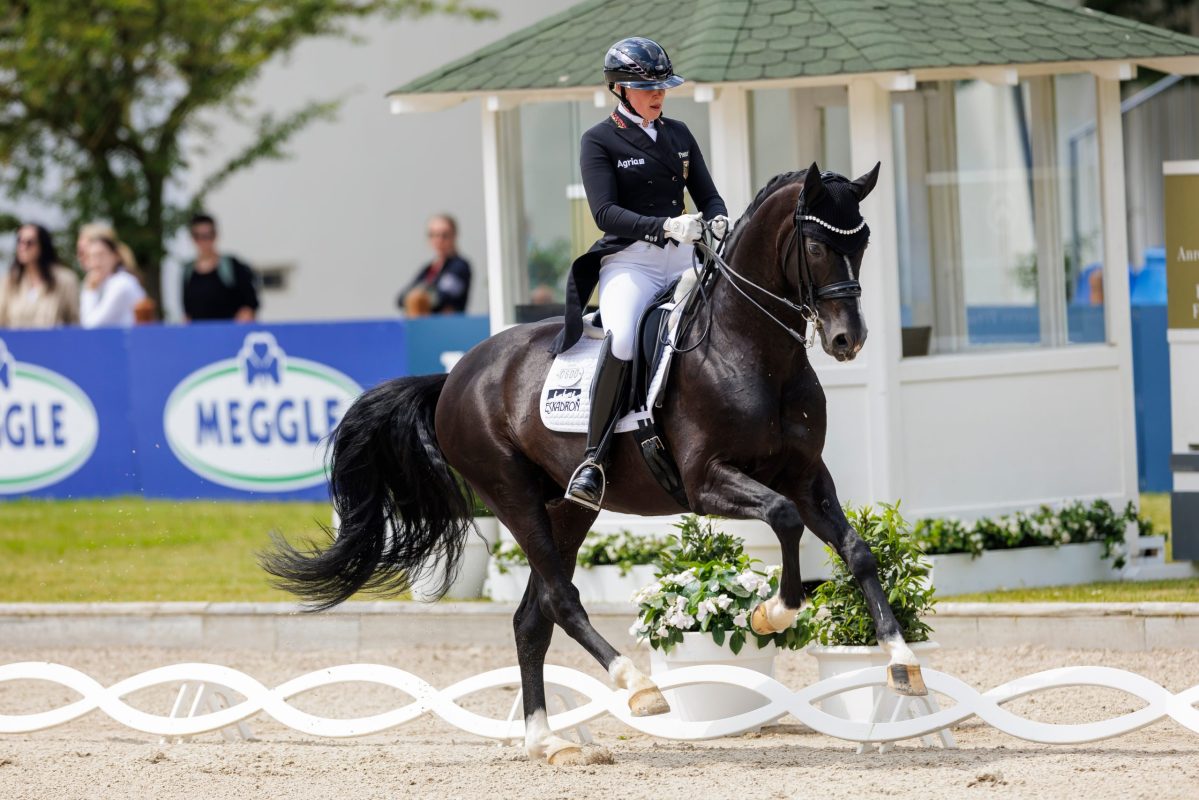 Katharina Hemmer und Special Gold 2024 in Balve. Foto: Sportfotos-lafrentz.de