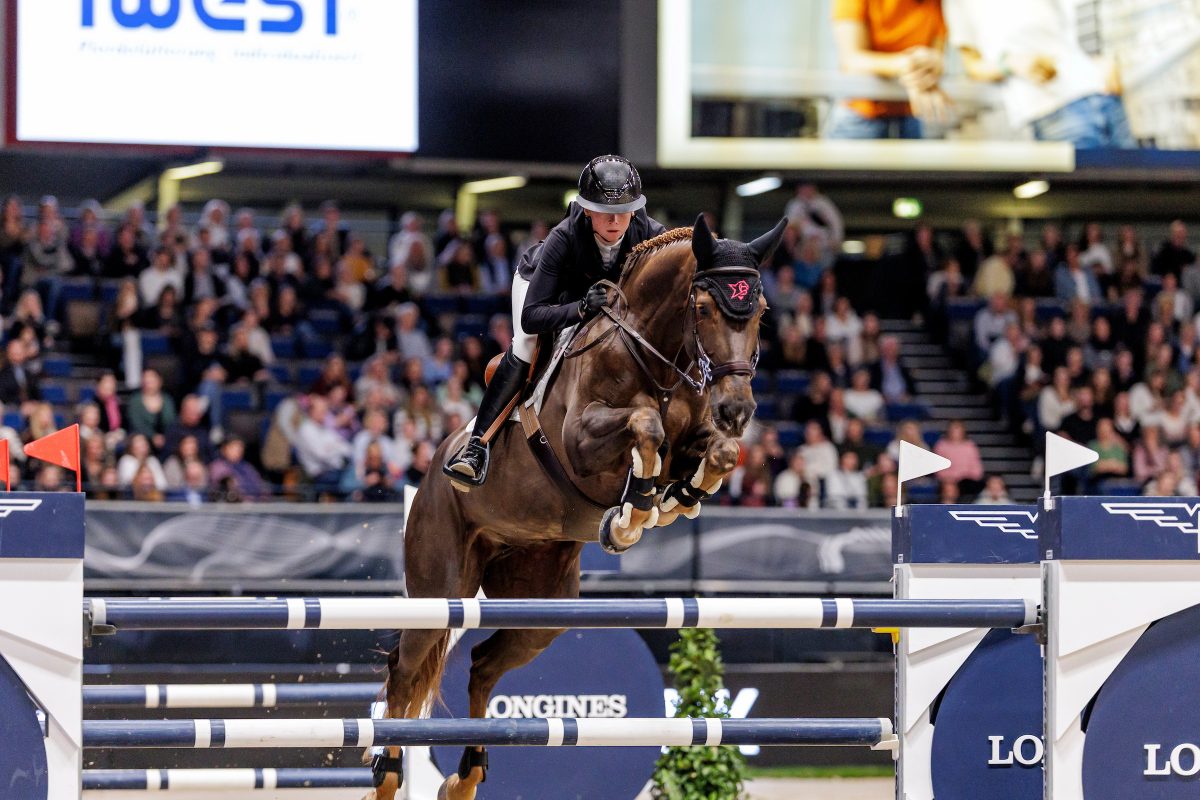 STUTTGART - German Masters 2025

HINNERS Sophie (GER), Iron Dames Kaleni Jo
CSI5*-W Prize of iWEST GmbH & Co.KG
Int. jumping competition over two rounds
Int. Springprüfung mit Siegerrunde (1.55 m)

Stuttgart, Hanns-Martin-Schleyer-Halle
15. November 2025
© www.sportfotos-lafrentz.de/Stefan Lafrentz