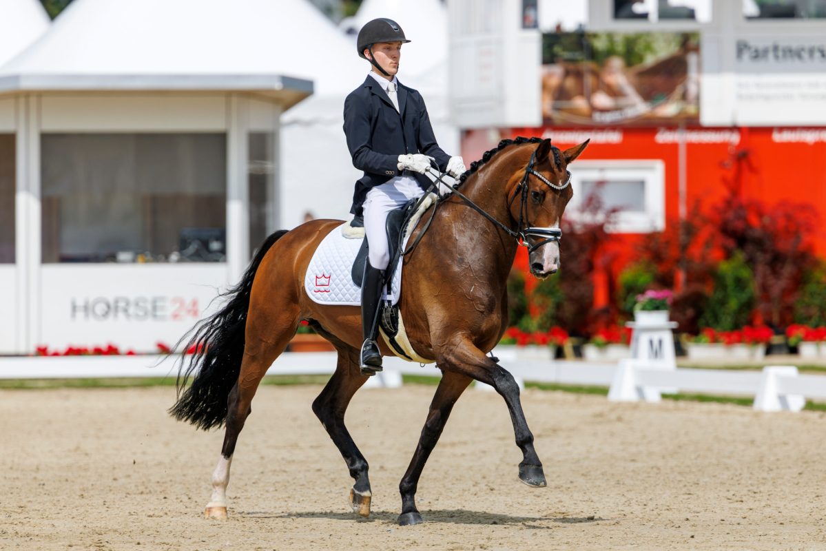 Anders Sjöbeck Hoeck wurde vom Dänischen Reiterverband für ein Jahr gesperrt. Foto: Sportfotos-lafrentz.de