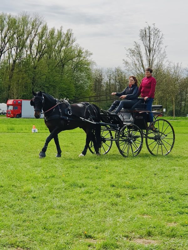 Jutta-Barkschat-mit-Casper-Training