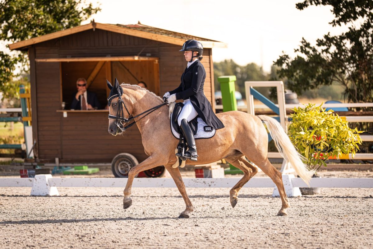 Kimberly Hendriks auf Disneys Tinkerbell