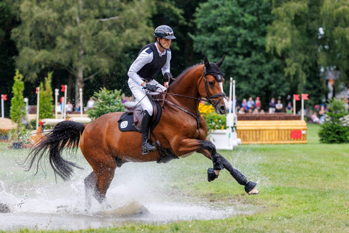 WARENDORF - Al Shira`aa Bundeschampionate 2025

LEUWER Ben (GER), Casanova 584
6j. Geländepferde Kl.L ** - Finalqualifikation

Warendorf, Turniergelände DOKR
04. September 2025
© www.sportfotos-lafrentz.de/Stefan Lafrentz