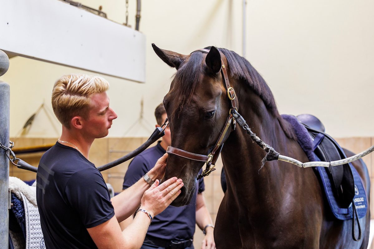 Lars Ligus mit Bluetooth daheim auf Hof Kasselmann. Foto: sportfotos-lafrentz.de