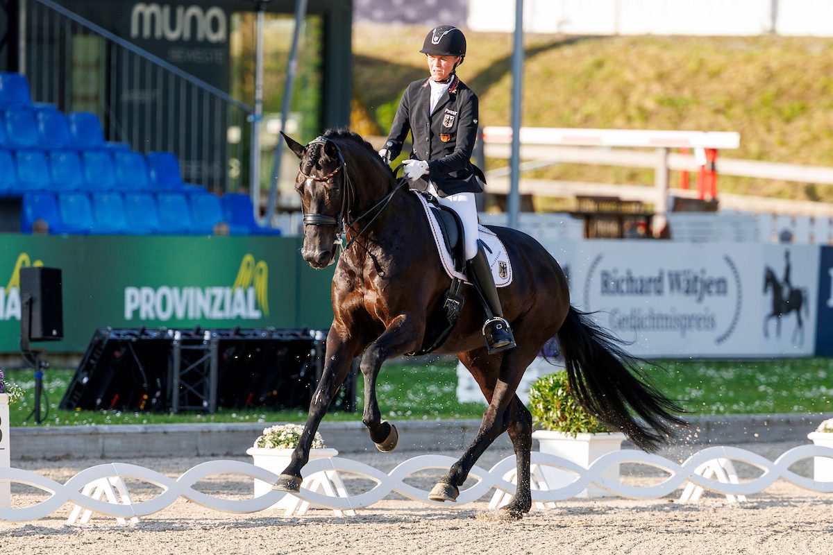 Regine Mispelkamp und Bayala bei den Deutschen Meisterschaften 2025 in Balve. Foto: www.sportfotos-lafrentz.de/Stefan Lafrentz