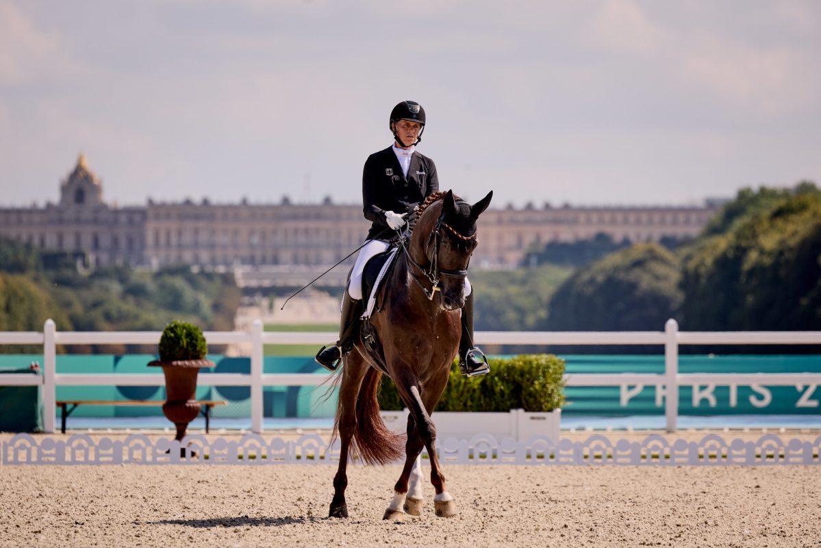 Mispelkamp2_FEI_Liz Gregg