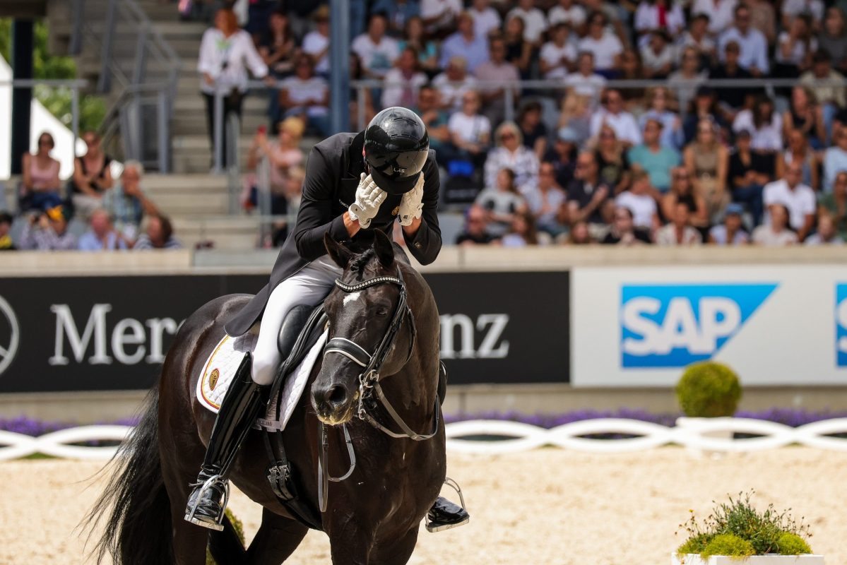 N15A4441Verboome_Thamm