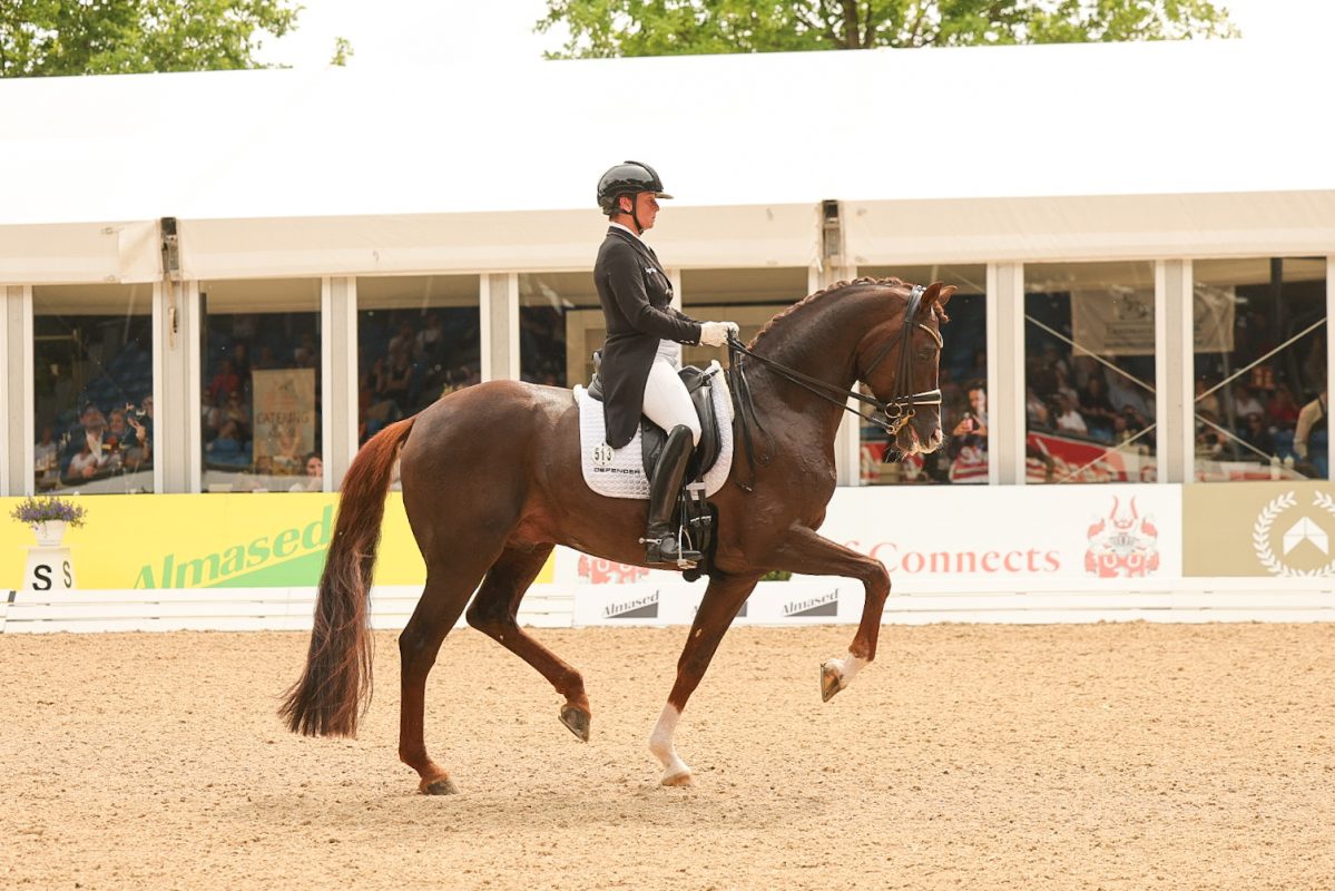 Isabell Werth und Viva Gold, Sieger in der Louisdor-Preis Qualifikation von Hamburg 2025. Foto: Rebecca Thamm