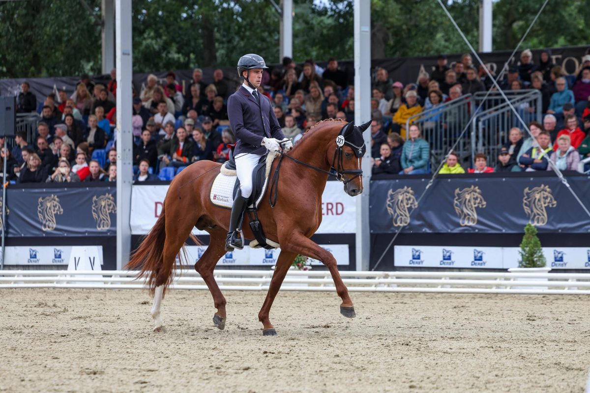 Danubio und Linus Keller waren einer der Lichtblicke beim Bundechampionat in Warendorf. (Foto Thamm)