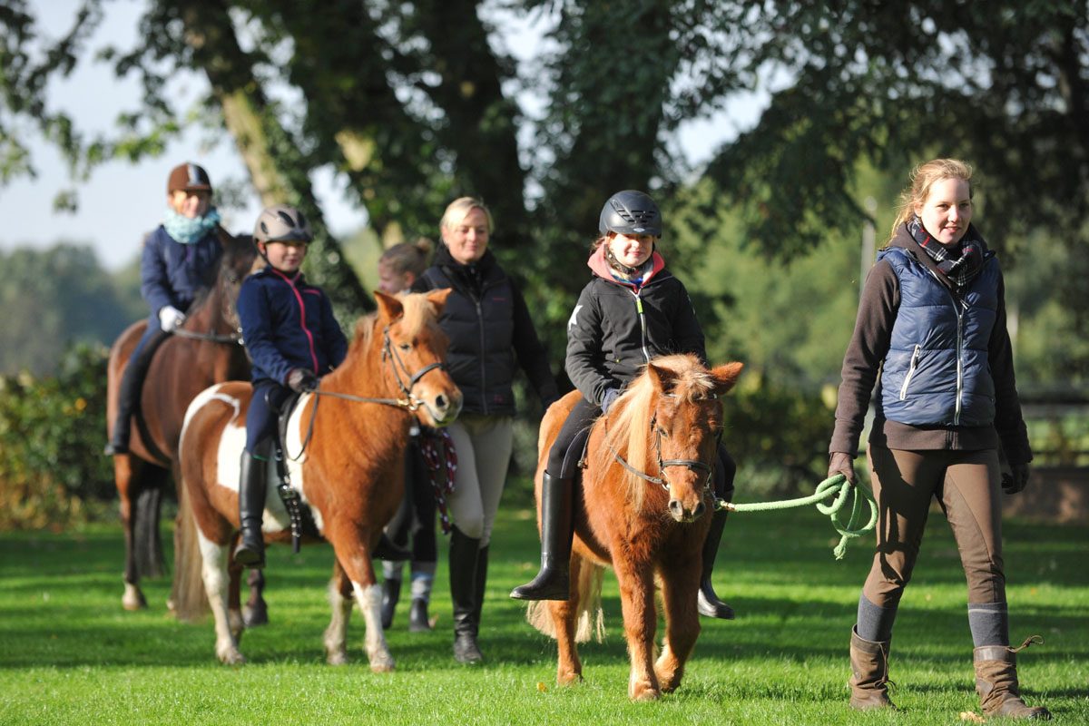 Online-Stammtisch_Ponyreitschulen_