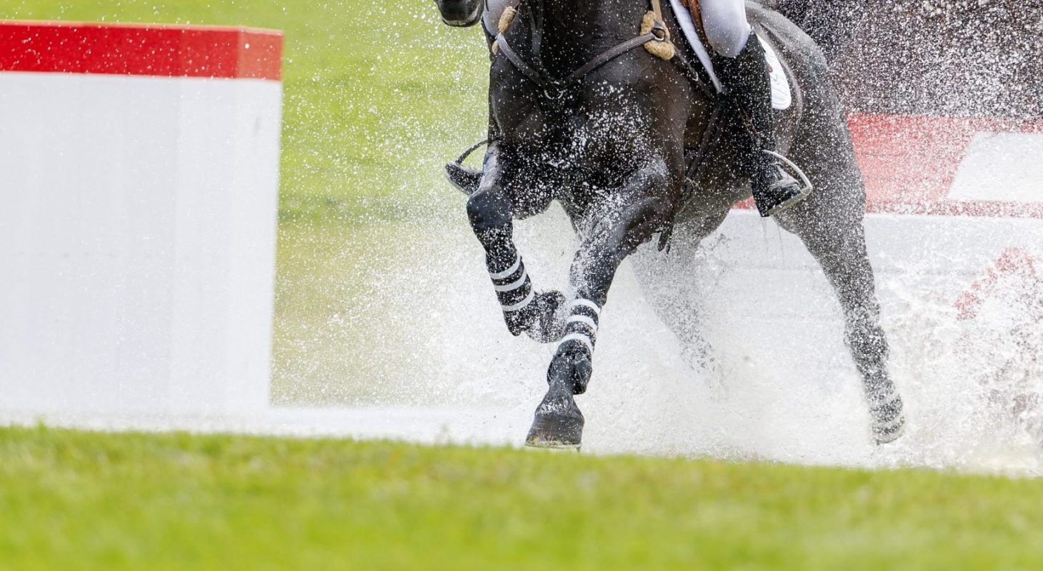 Feature Bild Gelände Foto: Sportfotos-lafrentz.de