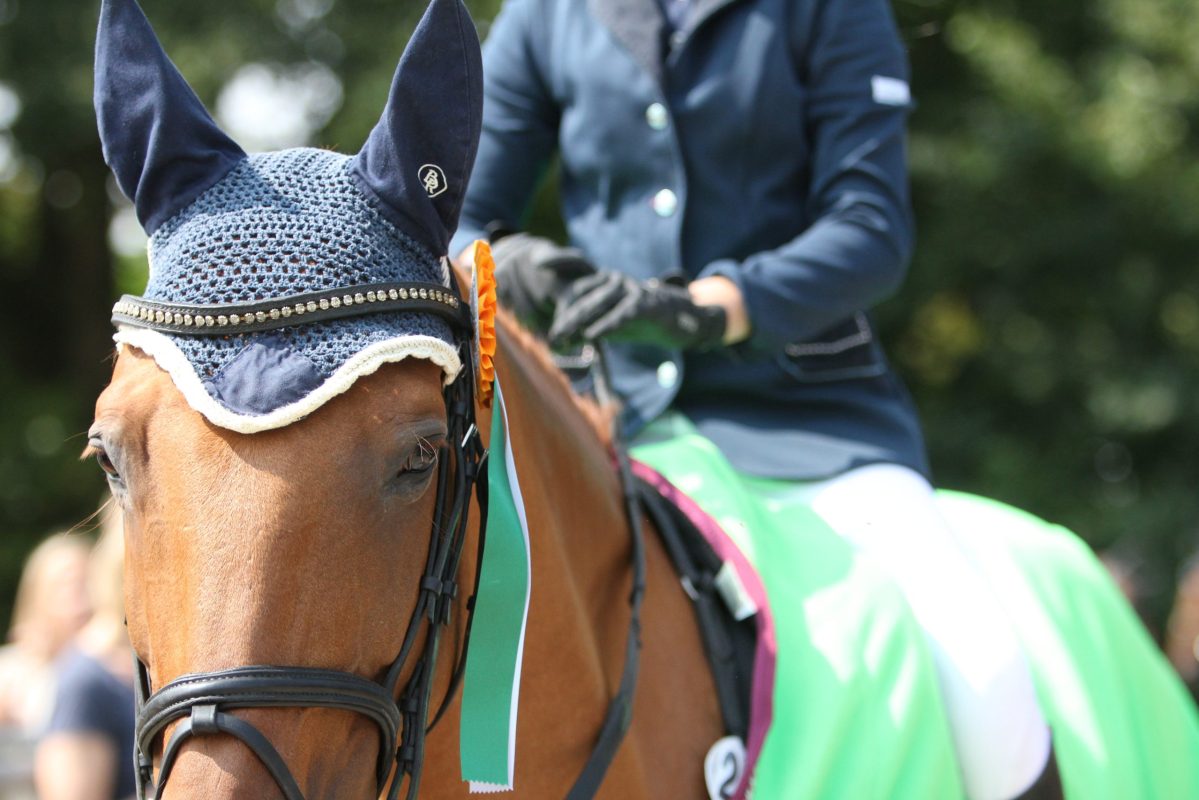 Pferdekopf_Schleife_2