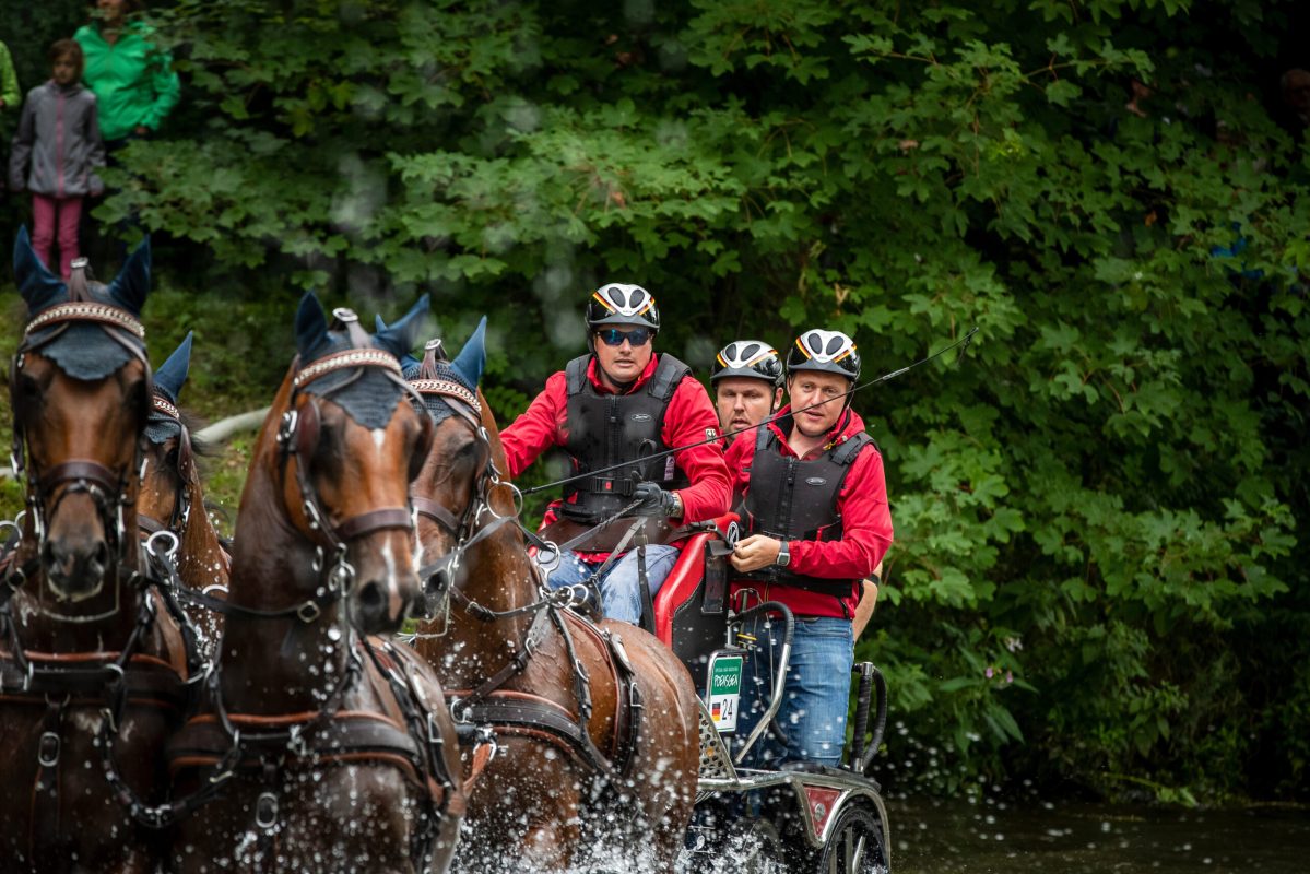 Poensgen Rene, GER, Ferdinant van't Nachtegaalhof, Harold, Havanna Almire, Zandgraaf, Zandor 25
Donaueschingen - CHI mit Europameisterschaft Gespannfahren 2019
Marathon Four-in-hand horses Driving European Championship
Vierspänner Marathon
17. August 2019
© www.sportfotos-lafrentz.de/Dirk Caremans