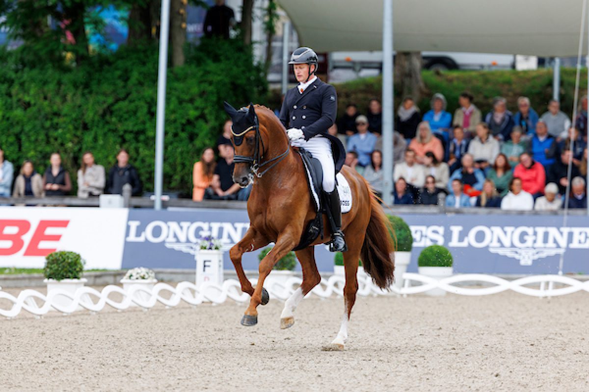 Matthias Alexander Rath und Destacado im Sommer in Balve. Foto: sportfotos-lafrentz.de