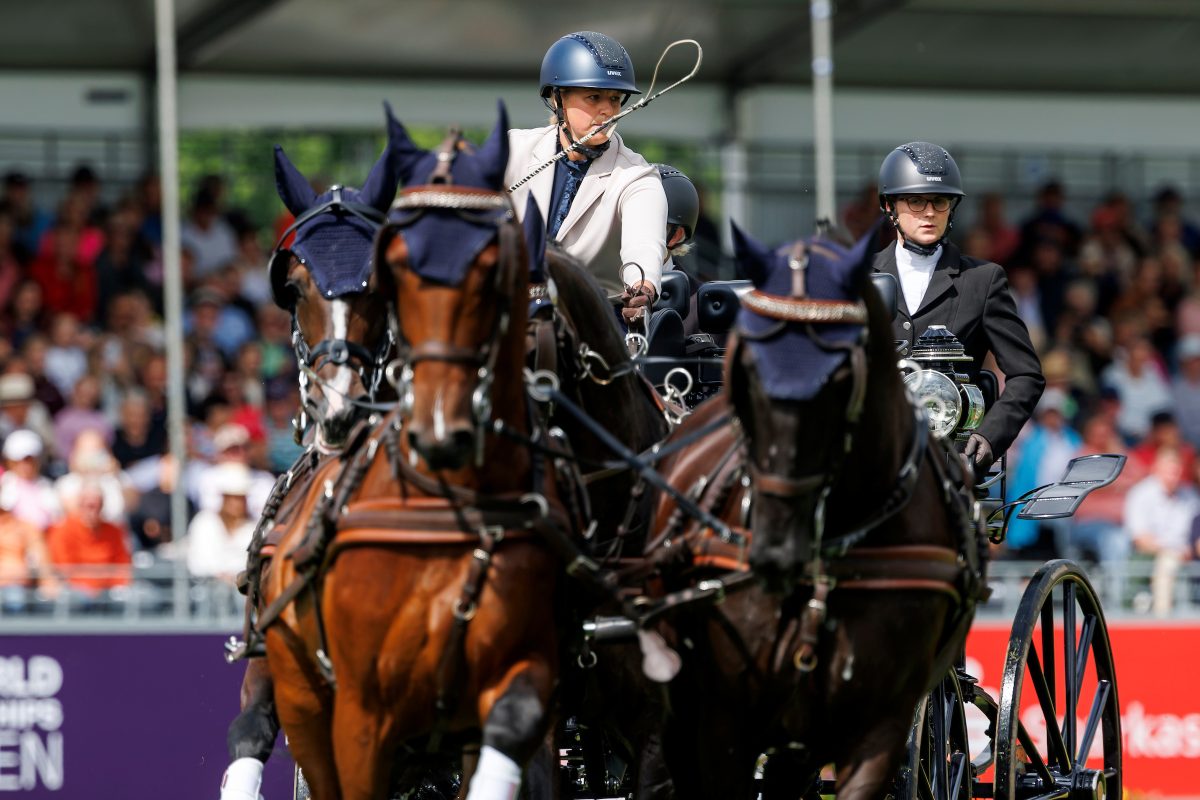 AACHEN - FEI World Championships 2026

SANDMANN Anna (GER), Cobra, Fantast, Harley, Iwan van de Martha Hoeve Texel, Musketier
FEI Driving World Championship Four-in-Hand – Team & Individual
Cones / Kegelfahren

Aachen, Reitstadion Soers
23. August 2026
© www.sportfotos-lafrentz.de/Stefan Lafrentz