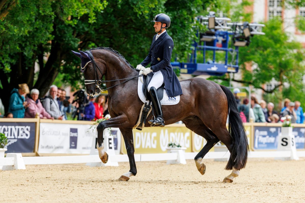 Don Macchiavelli unter Manuel Springhetti beim Wiesbadener Pfingstturnier 2025. Foto: Sportfotos-lafrentz.de