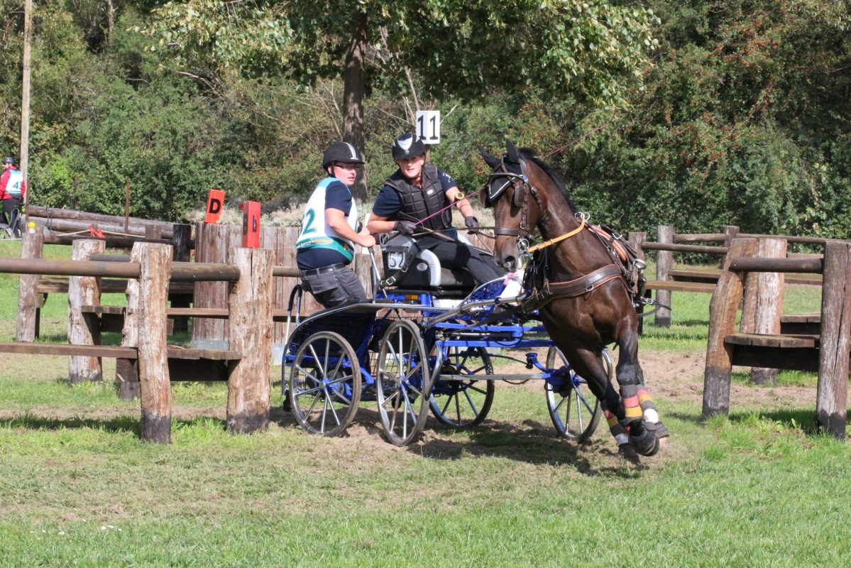 Schildau_Roeder_Equistar_Lucie_Lehmeyer