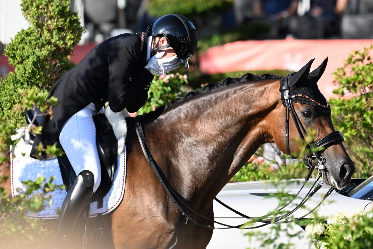 Schölermann_Kronberg_Nilkens