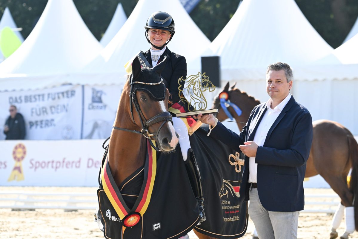 Sieger bei den dreijährigen Stuten und Wallachen wurde Next Dancer C von FS Next Diamond (Foto:Nilkens)