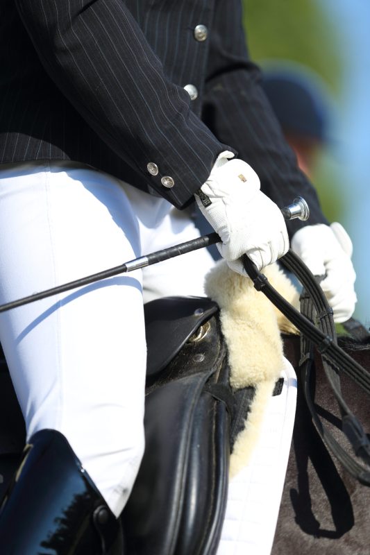 Das Wegschmeißen oder Fallenlassen der Gerte ist nicht gestattet und kann sich unter Umständen negativ auf die Bewertung auswirken. Foto: Equipics/Zachrau