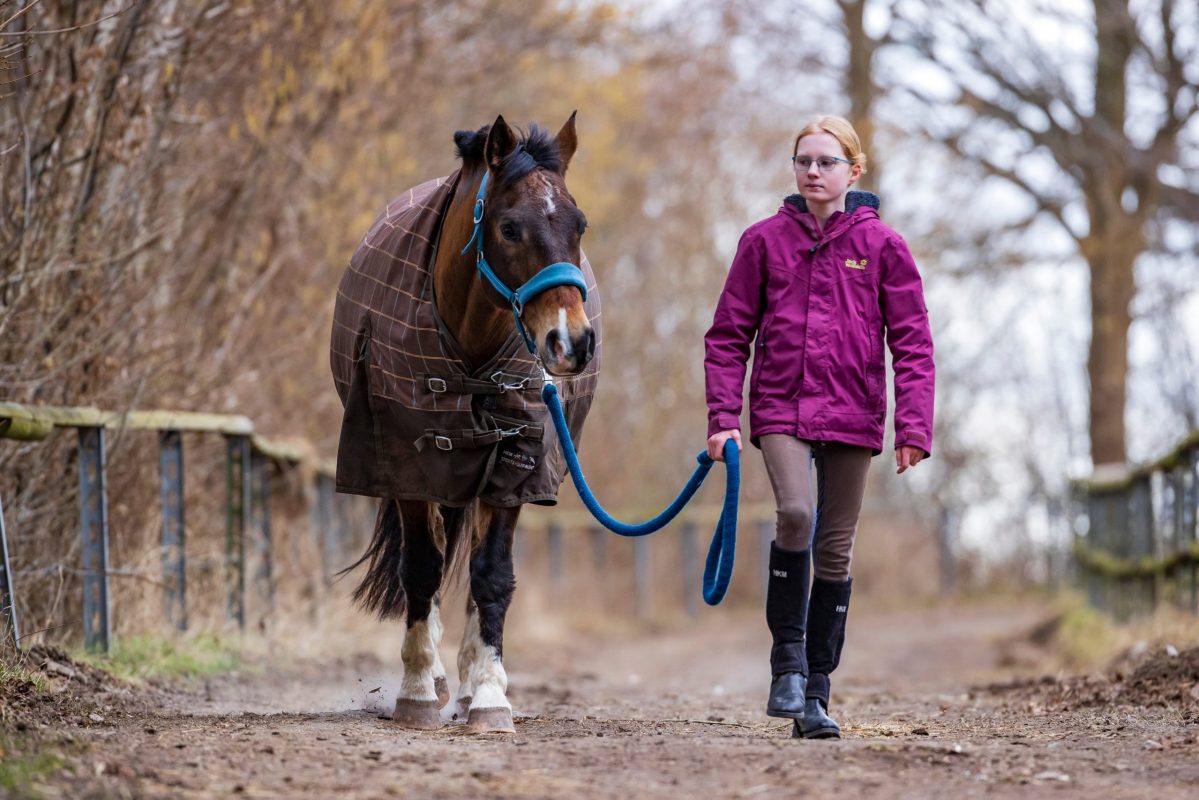 Mit der Aktion "100 Schulpferde plus" sollen Reitschulen gezielt unterstützt werden. Nach der Auslosung ist vor der Auslosung. Wer sich noch nicht registriert hat, sollte das nachholen. Foto: sportfotos-lafrentz.de