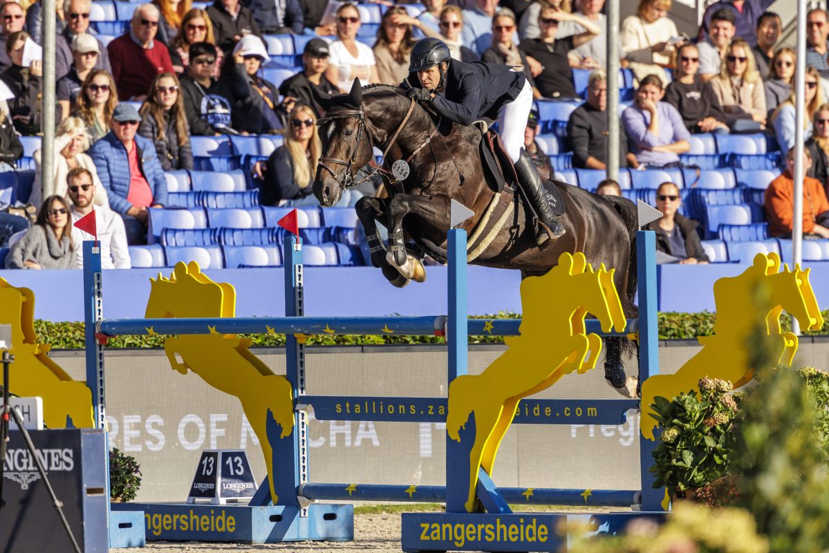 ZANGERSHEIDE - FEI WBFSH Jumping Horses 2023

TERHOEVEN-URSELMANS Kai (GER), Dominelli Z
Final - 5-years horses
Int. jumping competition with jump-off (1.30 m)

Lanaken, Gestüt Zangersheide
24. September 2023
© www.sportfotos-lafrentz.de/Stefan Lafrentz