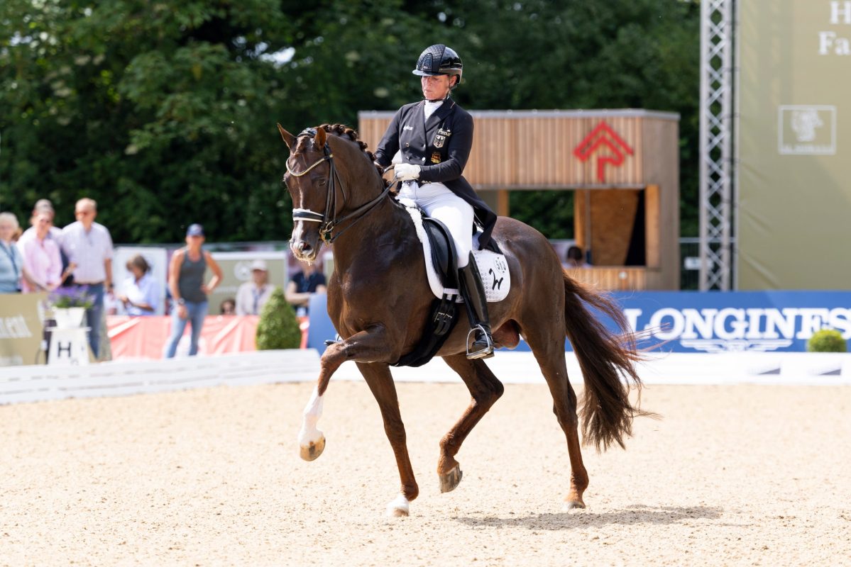 Isabell Werth und Viva Gold, Sieger in der Intermédiaire II von Hamburg 2025. Foto: Thomas Hellmann