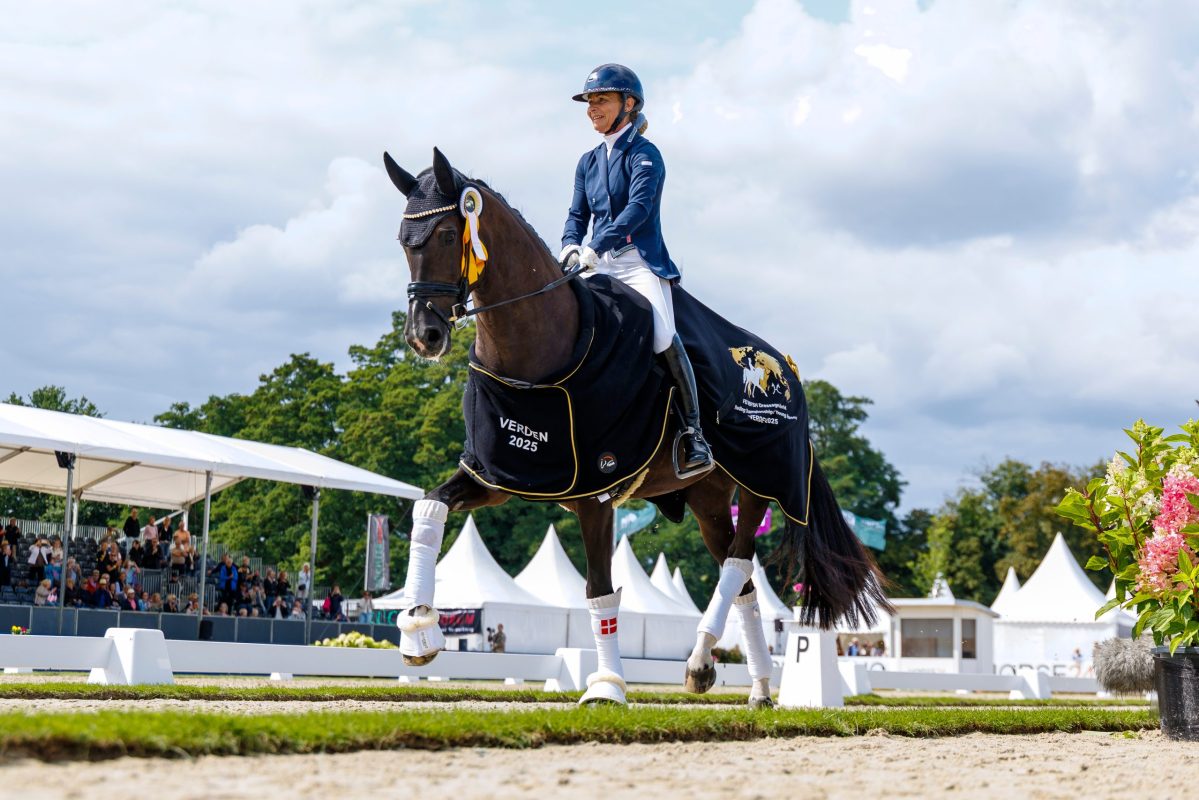 Slangerupgaards Safran und Anne Troensegaard, Sieger der Qualifikation der Sechsjährigen bei der WM junge Dressurpferde 2025. Foto: Sportfotos-lafrentz.de