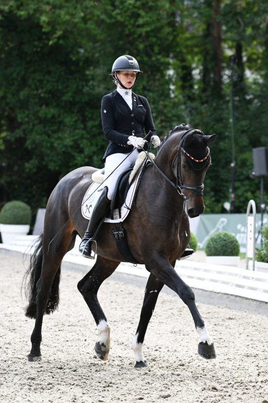 Tollhopf, 6 Jährige Pferde Quali_1533