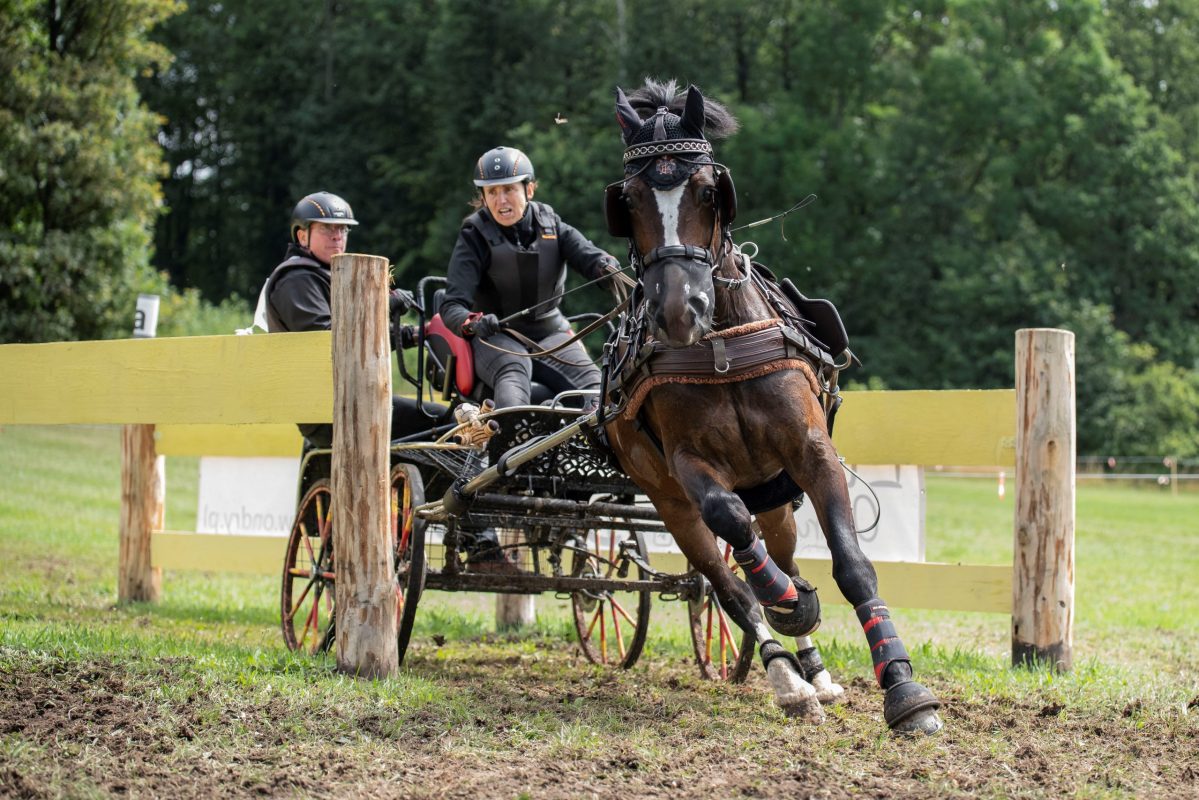Ursula Hüsges Meisterhofs Meteor Foto Anna Hüsges