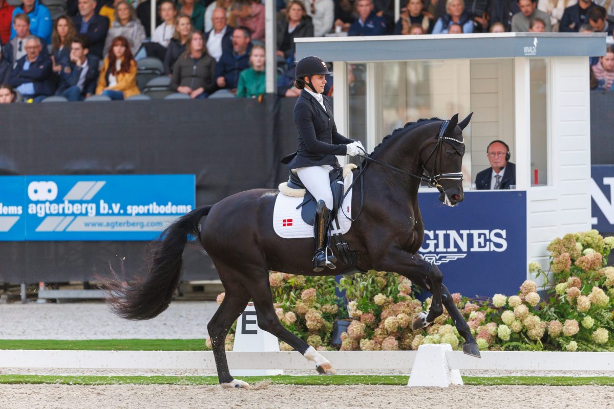 St. Paris mit Victoria E. Vallentin auf dem Weg zum Weltmeistertitel 2022. Foto: sportfotos-lafrentz.de