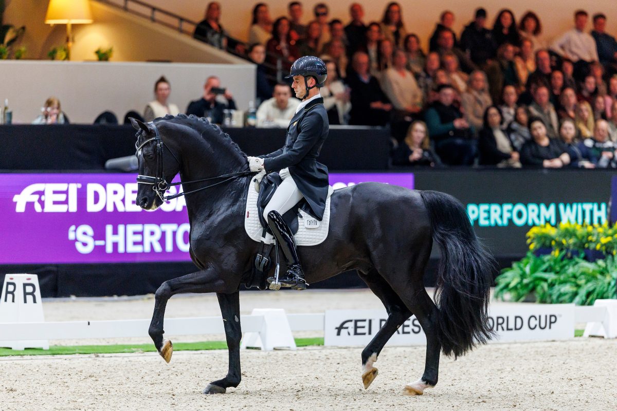 s-HERTOGENBOSCH - The Dutch Masters 2026

VERBOOMEN Justin (BEL), Zonik Plus
FEI Dressage World Cup™ Grand Prix Kür/ Freestyle presented by RS2 Dressage
International Dressage Competition CDI-W 

s-HERTOGENBOSCH, Brabanthallen
14. March 2026
© www.sportfotos-lafrentz.de / Stefan Lafrentz