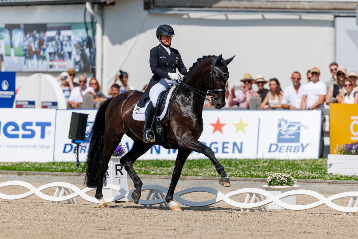 BALVE - LONGINES Balve Optimum 2025

WERTH Isabell (GER), Special Blend 3
Deutsche Meisterschaften Dressur Grand Prix Special 2025
Dressurprüfung Kl.S**** / Grand Prix Special
KLAUS RHEINBERGER MEMORIAL 2025

Balve, Reitanlage Schloss Wocklum
14. June 2025
© www.sportfotos-lafrentz.de/Stefan Lafrentz