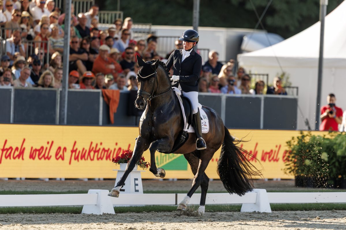 VERDEN - FEI World Breeding Dressage Championship for Young Horses 2026

WERTH Isabell (GER), V-Power
Final for 6-year-old-horses 

Verden, Hannoveraner Verband
08. August 2026
© www.sportfotos-lafrentz.de/Stefan Lafrentz