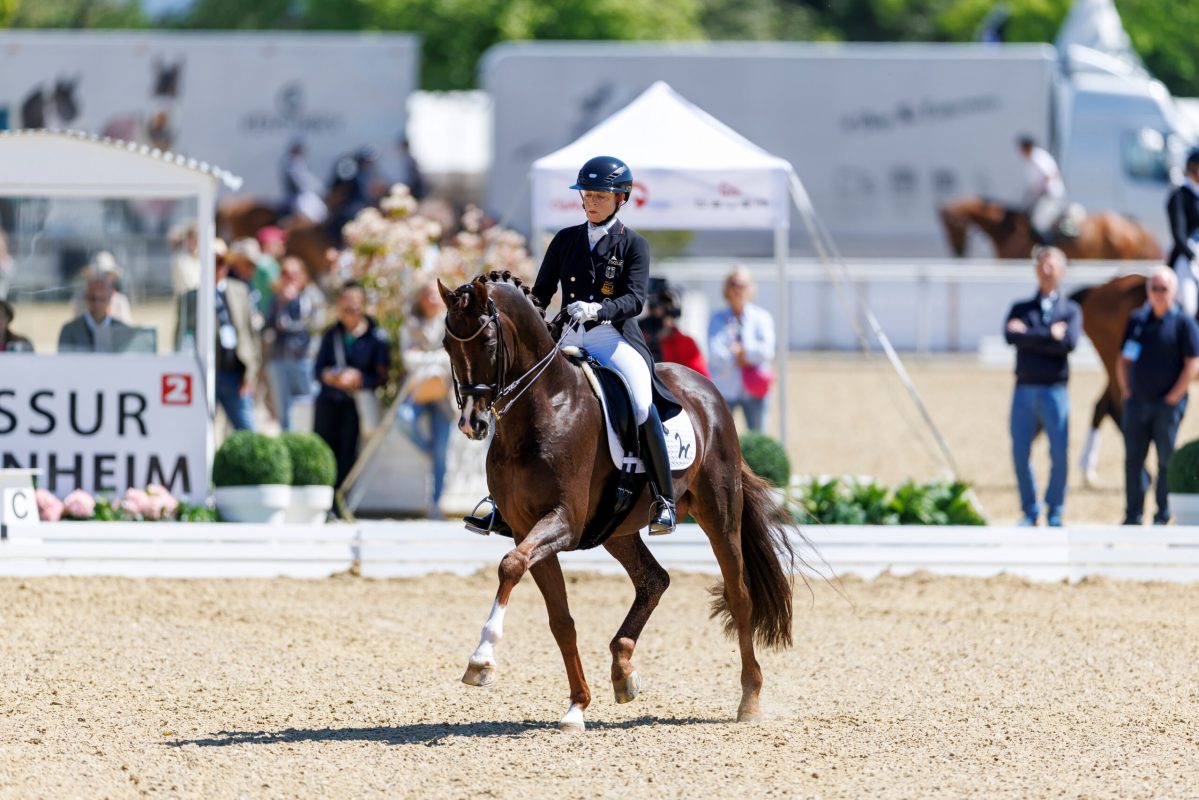 MANNHEIM - Maimarkt-Turnier 2026

WERTH Isabell (GER), Viva Gold OLD
CDI4* - Grand Prix
Prize of "Liselott und Klaus Rheinberger Stiftung"

Mannheim, Reitstadion Maimarkt
01. May 2026
© www.sportfotos-lafrentz.de/Stefan Lafrentz