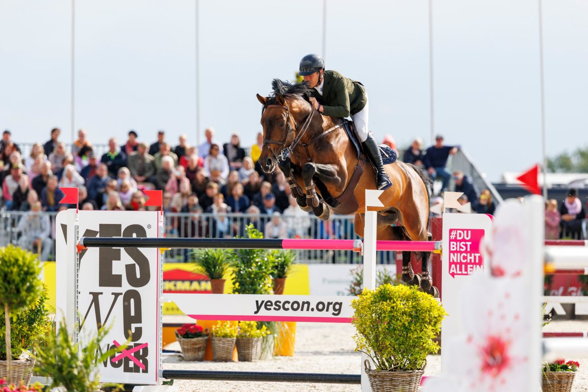 David Will mit Xixo Borgia, der seinen Vater Big Star nicht verleugnen kann. Foto: Archiv sportfotos-lafrentz.de