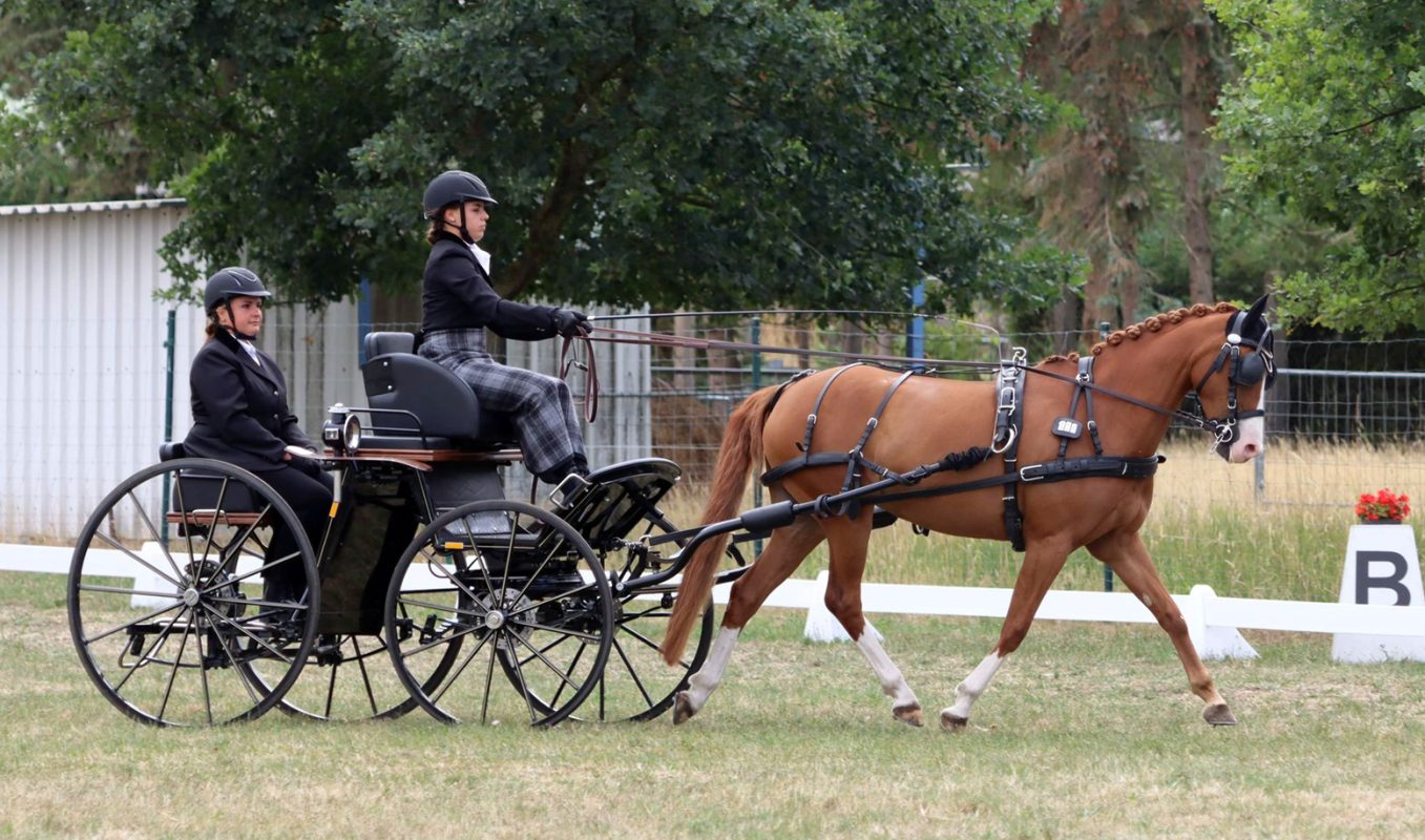 Zoe-Fajar-Hellegers-3