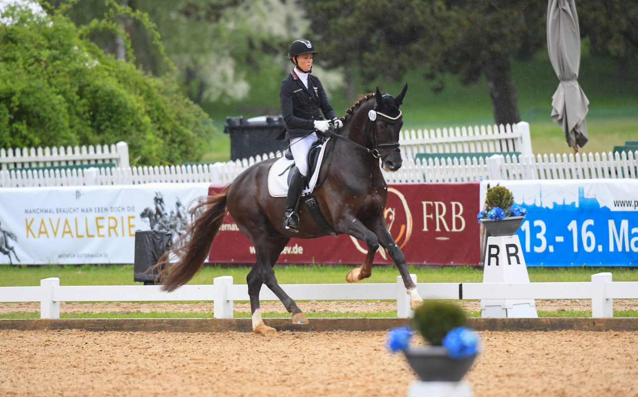 mispelkamp_highlander-delights_1355